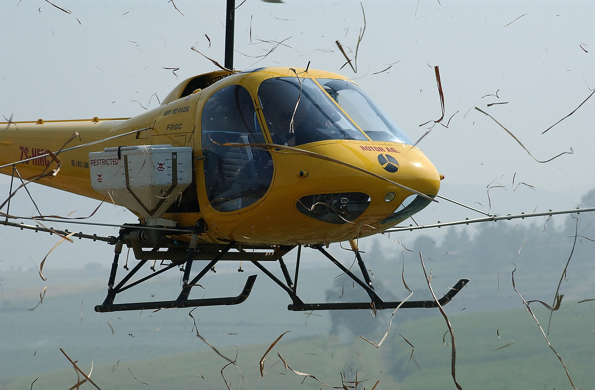 author portrait writer headshot